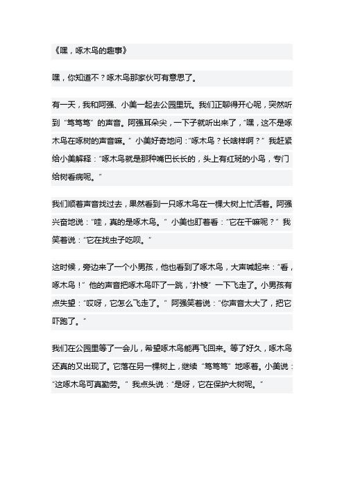 关于啄木鸟的故事