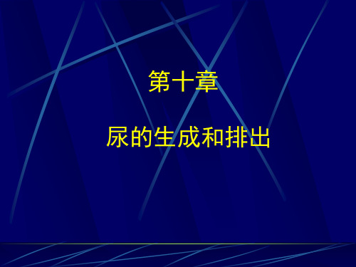 复旦大学生理学课件10尿的生成和排出