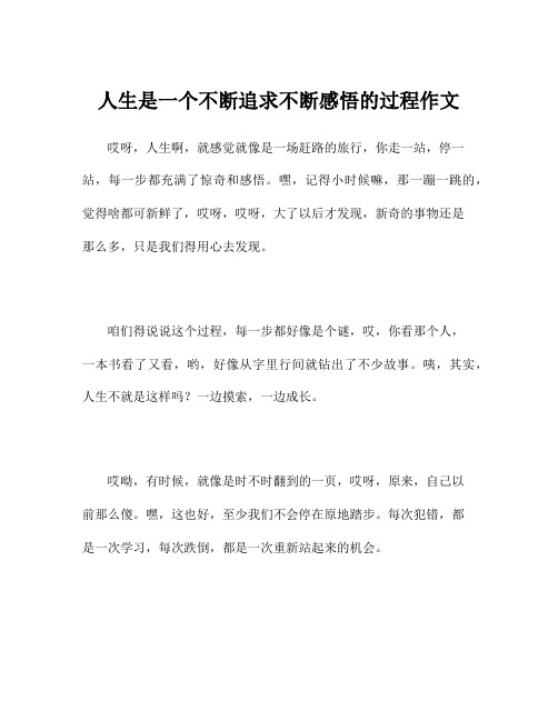 人生是一个不断追求不断感悟的过程作文