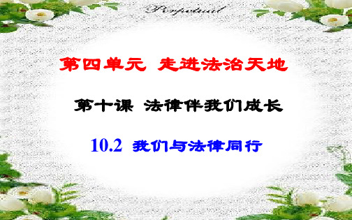 新人教版《道德与法治》七年级下册 10.2 我们与法律同行课件 (共17张PPT)