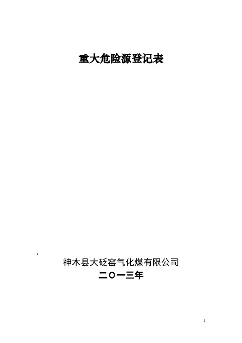 重大危险源登记表