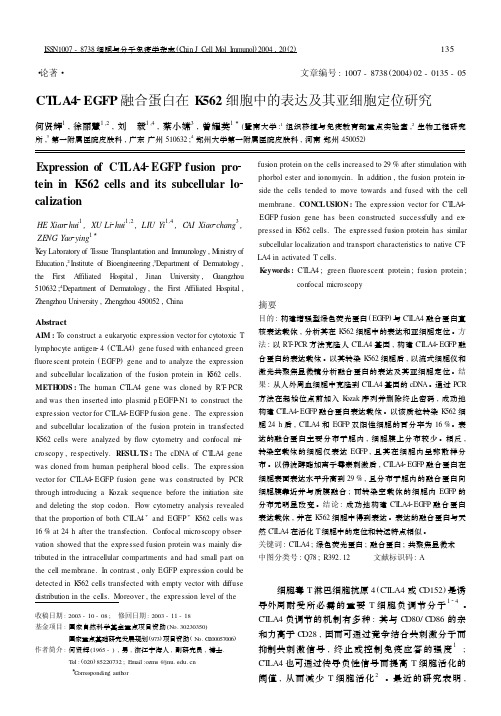 CTLA4-EGFP融合蛋白在K562细胞中的表达及其亚细胞定位研究.pdf