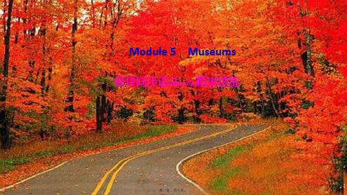 九年级英语上册 module 5 museums模块同步语法精讲精练作业课件