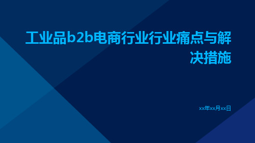 工业品B2B电商行业行业痛点与解决措施ppt