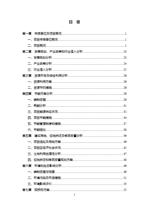 铁氧化磁性吸附材料(吸波材料)项目可行性研究报告