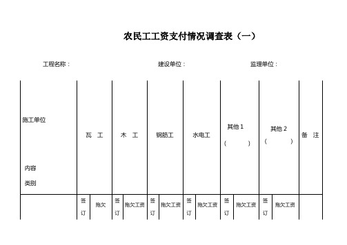 农民工工资支付情况调查表