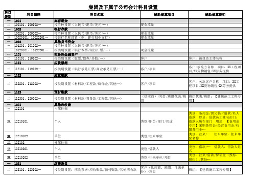 大型综合集团及N个子公司会计科目统一设置大全