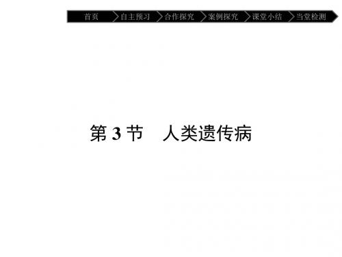高中生物必修二(人教版 课件)-第5章 基因突变及其他变异 5.3