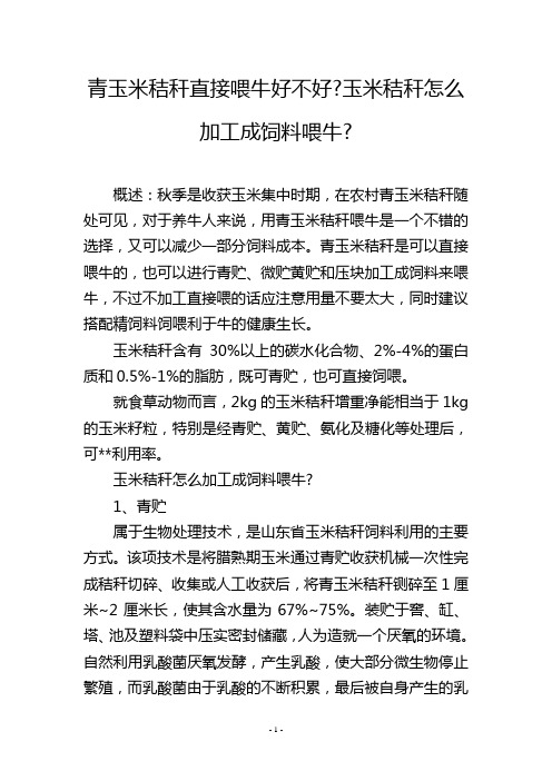 青玉米秸秆直接喂牛好不好-玉米秸秆怎么加工成饲料喂牛-