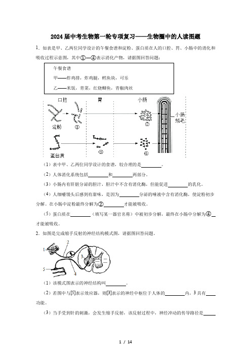 2024届中考生物第一轮专项复习——生物圈中的人读图题(含答案)