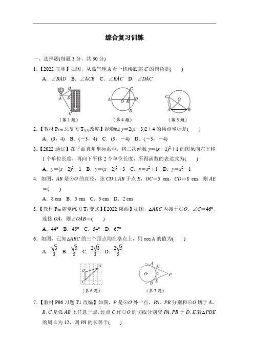 综合复习训练 2022-2023学年度北师大版数学九年级下册