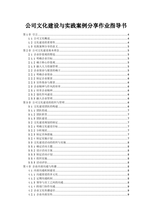 公司文化建设与实践案例分享作业指导书