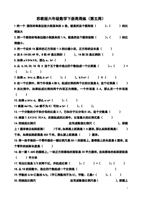 苏教版六年级数学下册周周练(第五周)