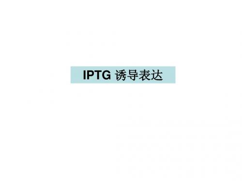 IPTG诱导表达