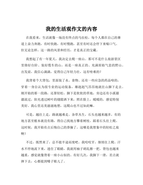 我的生活观作文的内容