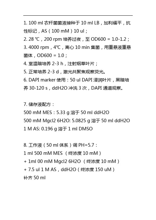 烟草亚细胞定位