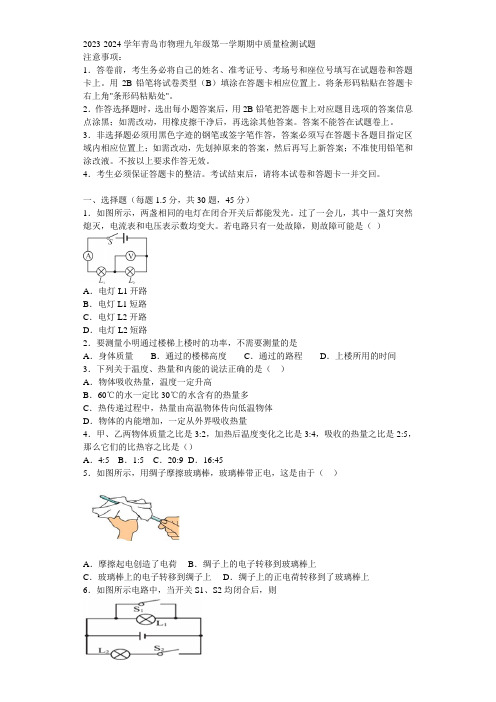 2023-2024学年青岛市物理九年级第一学期期中质量检测试题含解析