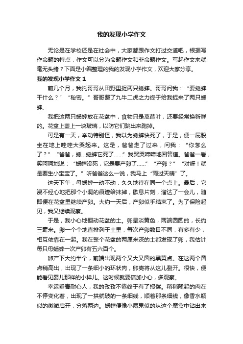 我的发现小学作文15篇