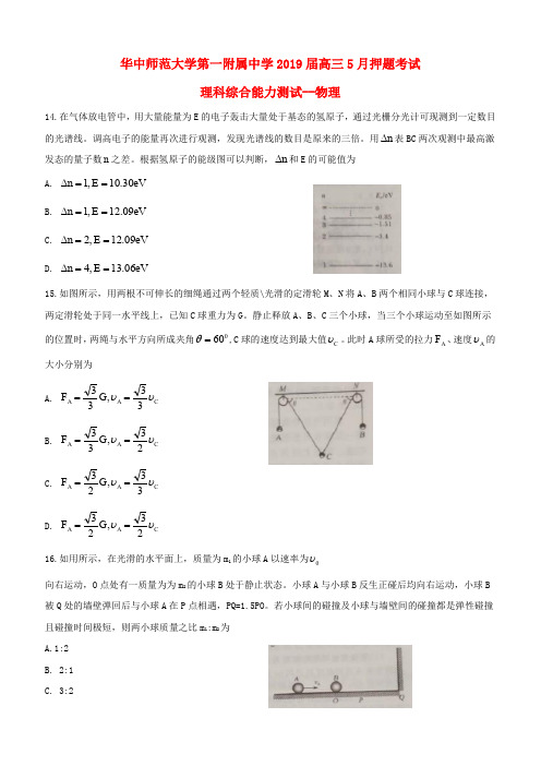 华中师大第一附属中学2019届高三物理5月押题考试试题(含答案)