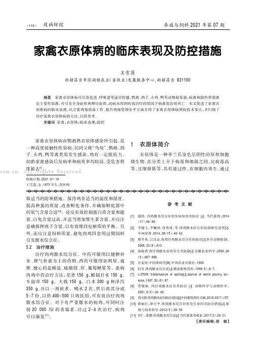 家禽衣原体病的临床表现及防控措施