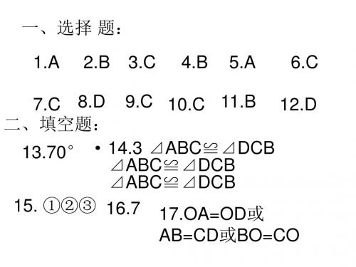 全等三角形B卷答案.