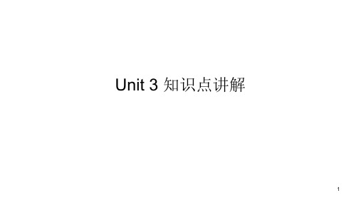 高中英语 新人教必修二Unit 3 The Internet 知识点讲解