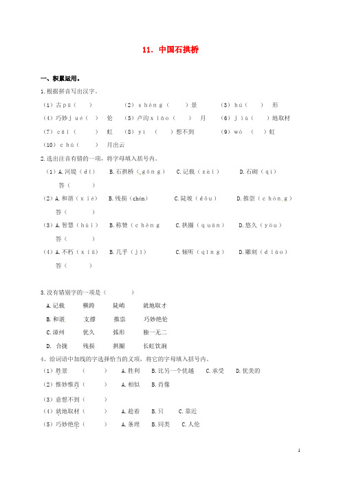 八年级语文上册 11《中国石拱桥》校本作业 (新版)新人教版