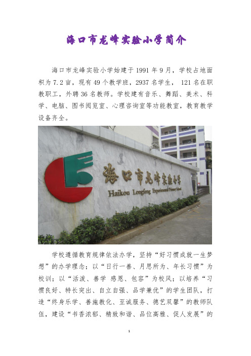海口市龙峰实验小学简介