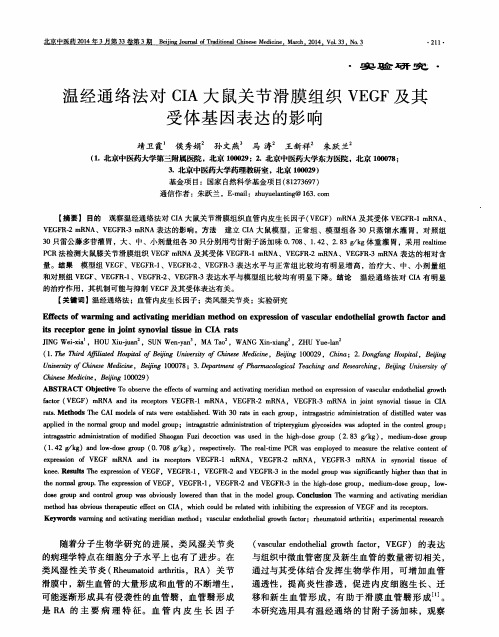 温经通络法对CIA大鼠关节滑膜组织VEGF及其受体基因表达的影响