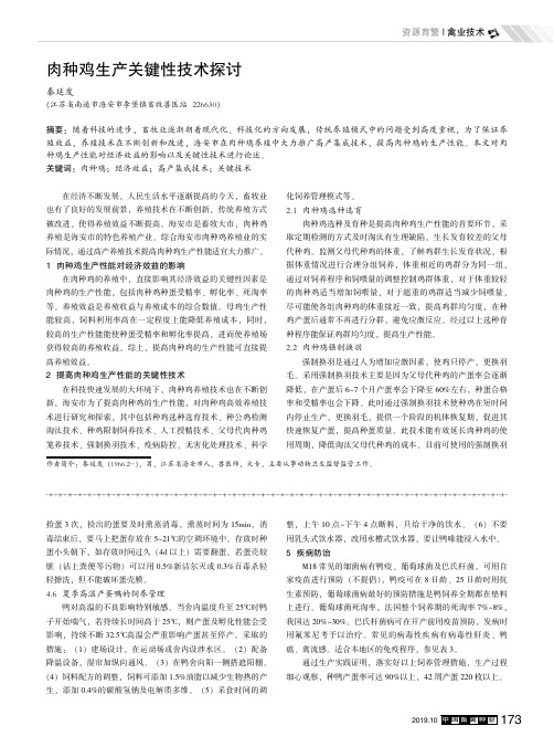 肉种鸡生产关键性技术探讨