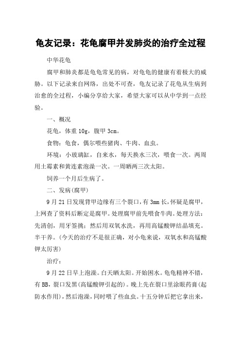 龟友记录:花龟腐甲并发肺炎的治疗全过程