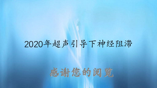 超声引导下神经阻滞(实用课件)