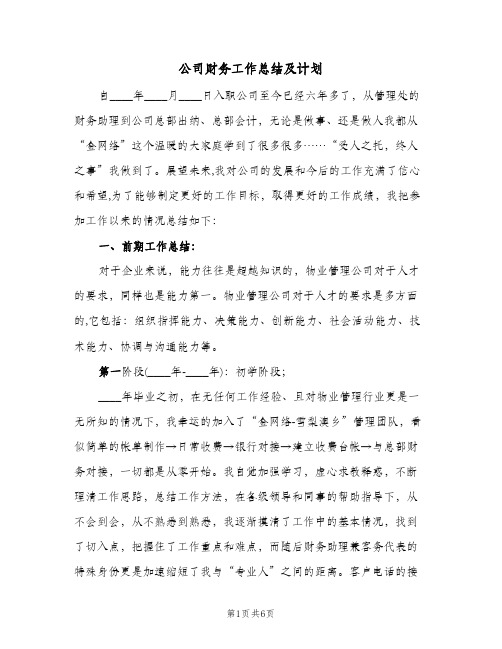 公司财务工作总结及计划(二篇)