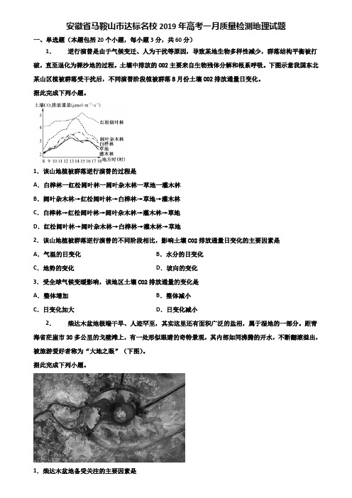 安徽省马鞍山市达标名校2019年高考一月质量检测地理试题含解析