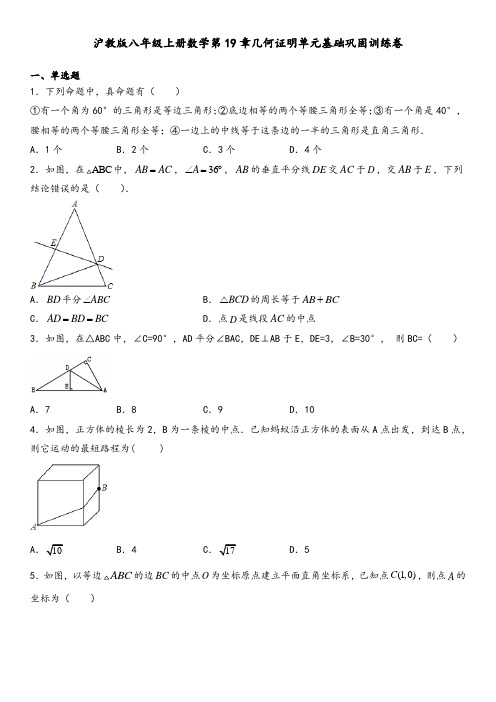 沪教版（上海）