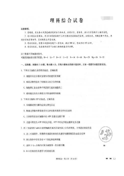 云南师范大学附属中学高三上学期第三次月考理科综合试题含答案