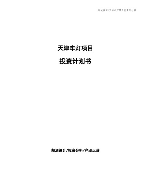 天津车灯项目投资计划书