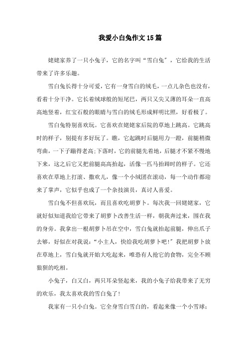 我爱小白兔作文15篇精选