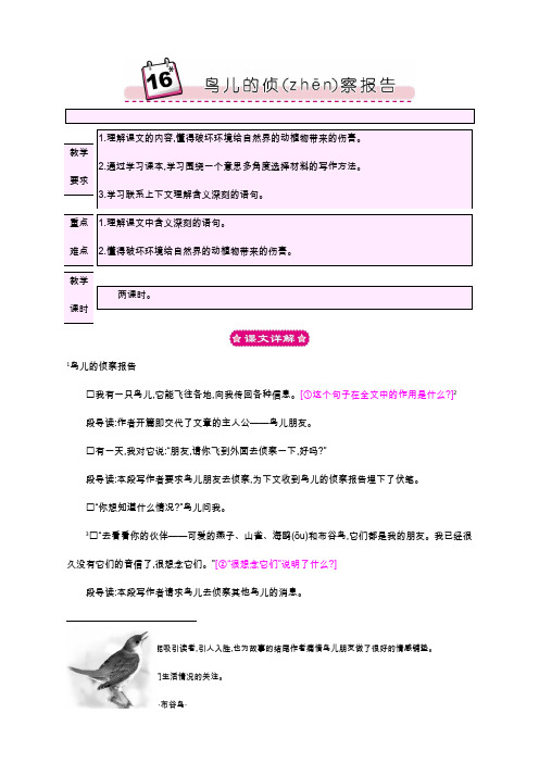 语S三语下教案16鸟儿的侦察报告