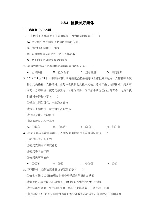 部编版道德与法治七年级下册憧憬美好集体课时练习