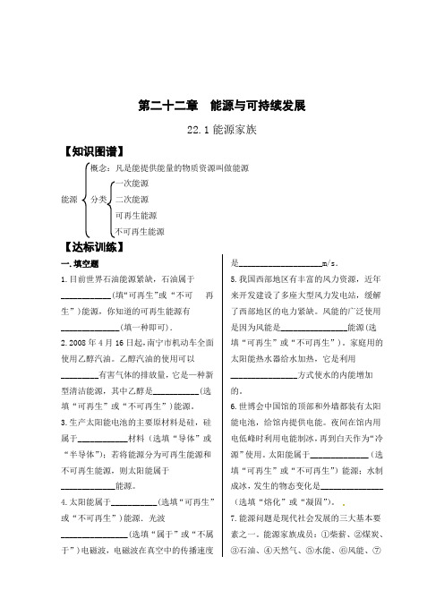 第二十二章  能源与可持续发展