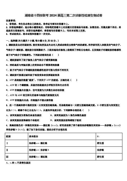 湖南省十四校联考2024届高三第二次诊断性检测生物试卷含解析