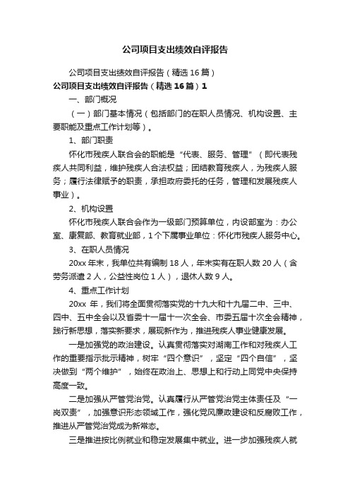 公司项目支出绩效自评报告