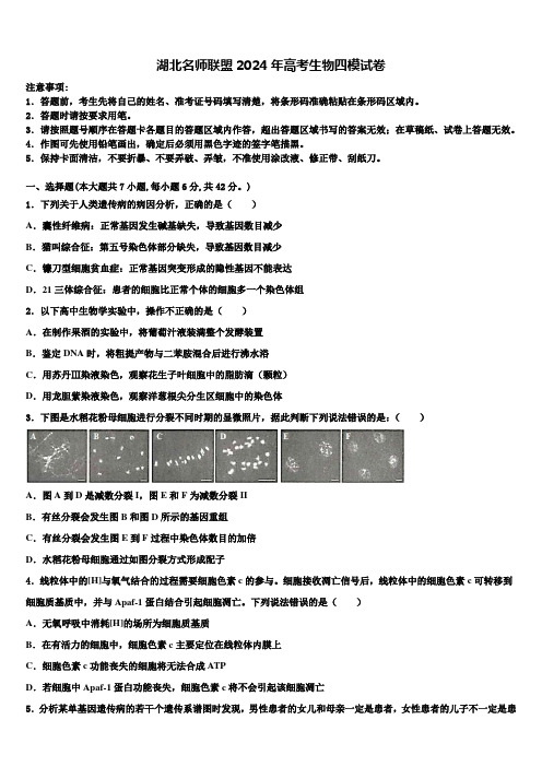 湖北名师联盟2024年高考生物四模试卷含解析