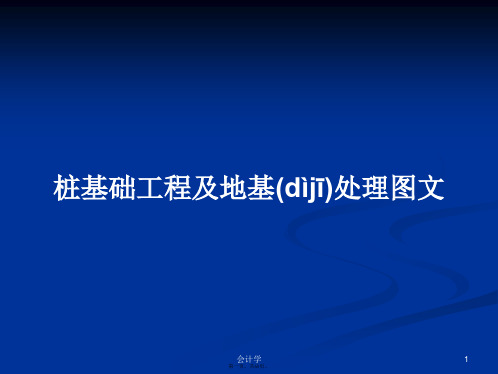 桩基础工程及地基处理图文学习教案