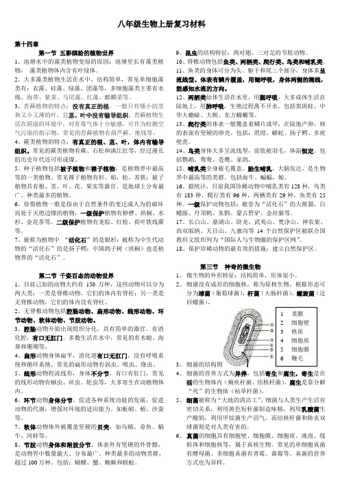 八年级上册复习资料