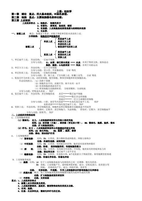 组织学与胚胎学讲义