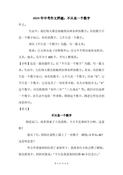 2024年中考作文押题：不只是一个数字