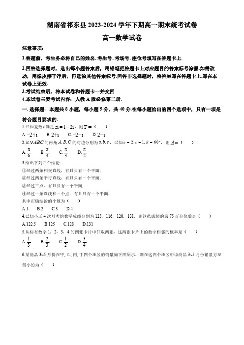 湖南省衡阳市祁东县2023-2024学年高一下学期期末统考数学试卷(含解析)