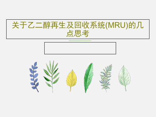 关于乙二醇再生及回收系统(MRU)的几点思考20页PPT